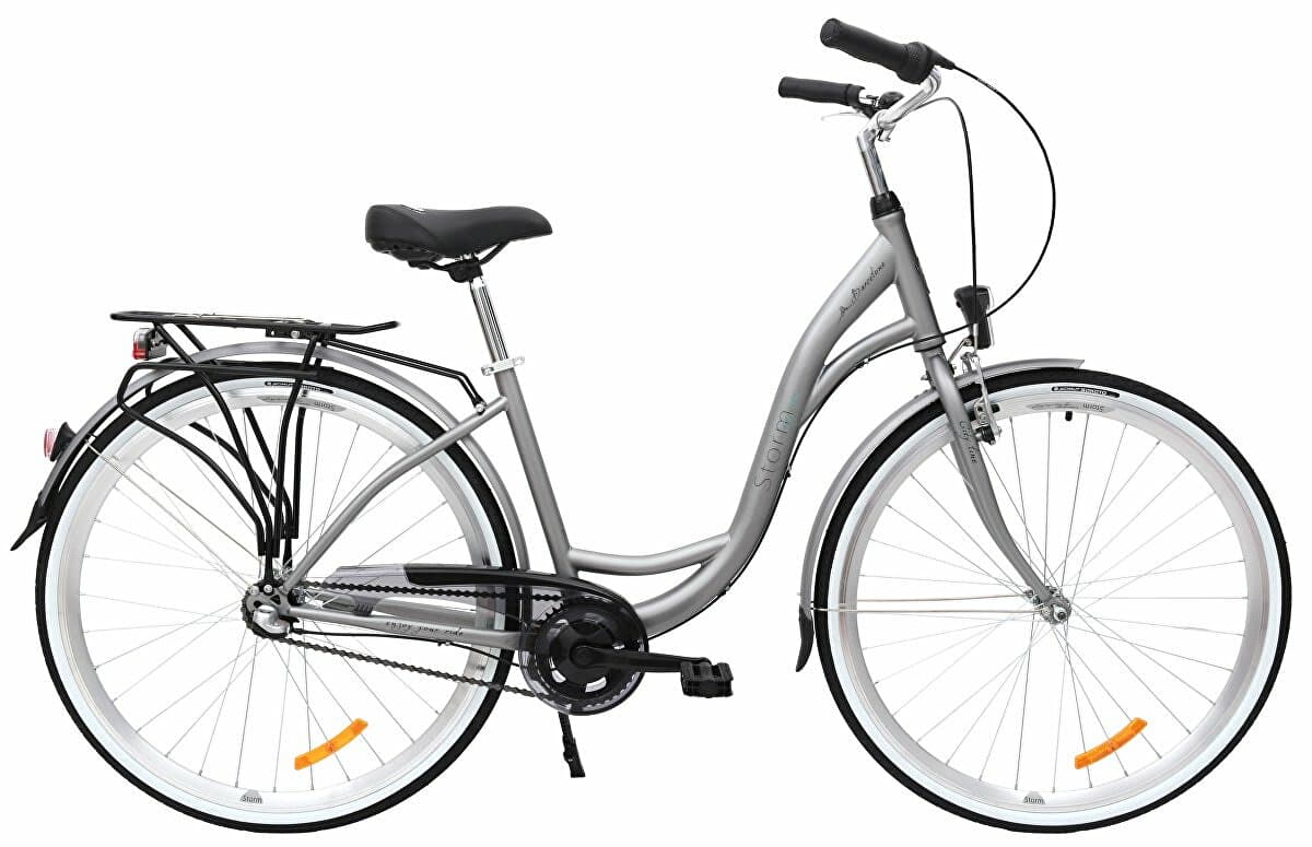 kolo STORM Barcelona 28" 3sp. 17" mat stříbrné